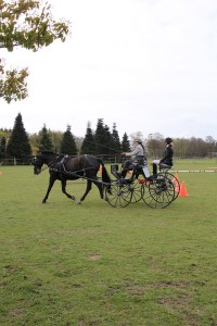 IMG 2977 Bildgröße ändern