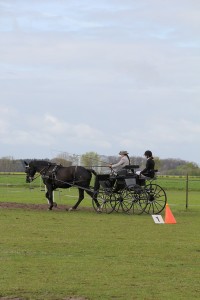 IMG 2980 Bildgröße ändern
