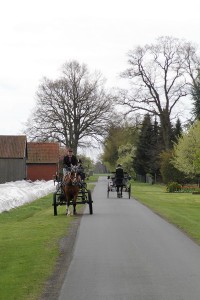 IMG 2986 Bildgröße ändern