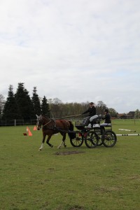 IMG 2996 Bildgröße ändern