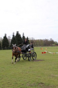 IMG 2997 Bildgröße ändern