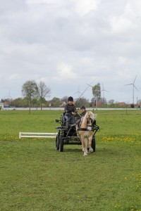 IMG 3063 Bildgröße ändern