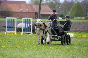 IMG 3070 Bildgröße ändern