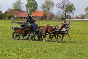 IMG 3084 Bildgröße ändern