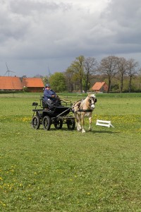 IMG 3105 Bildgröße ändern