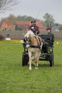 IMG 3121 Bildgröße ändern