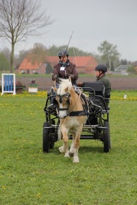 IMG 3122 Bildgröße ändern