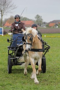 IMG 3124 - Kopie Bildgröße ändern