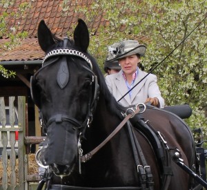 ku1 Bildgröße ändern (1)